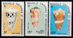 Новая Каледония 1984 год. Раковины морских моллюсков, 3 марки.