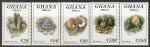 Гана 1992 год. Морские улитки и мидии, 5 марок из серии.