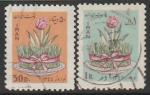 Иран 1965 год. Иранский Новый год. Цветок, 2 марки (гашёные)