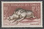 Французский берег Сомали 1958 год. Стандарт. Бородавочник, 1 марка из серии.