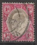 Трансвааль (Южная Африка) 1902 год. Стандарт. Король Эдуард VII, ном. 1 Р, 1 марка из серии (гашёная)