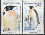 Чили 1992 год. Королевские пингвины, 2 марки.