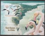 Куба 2007 год. Фауна прибрежных районов острова. Фламинго, б/зубц. блок.
