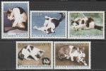 Куба 2005 год. Домашние кошки, 5 марок.