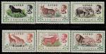 Эфиопия 1961 год. Млекопитающие, 6 марок.