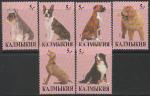 Калмыкия 1999 год. Породы собак, 6 марок (н