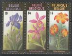 Бельгия 1990 год. Выставка цветов в Генте, 3 марки (н