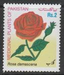 Пакистан 2003 год. Дамасская роза, 1 марка (н