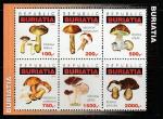 Бурятия 1996 год. Съедобные грибы, малый лист (н