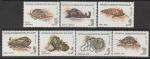Мадагаскар 1993 год. Моллюски и каракатицы, 7 марок.