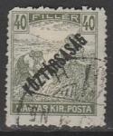 Венгрия 1918 год. Стандарт. Жнецы. НДП: "Республика", ном. 40 f, 1 марка из серии (гашёная)