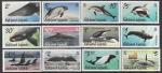 Фолклендские острова 2012 год. Киты и дельфины, 12 марок (н