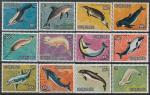 Острова Кука 1984 год. морская фауна. Дельфины, 12 марок (н