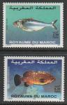 Марокко 2002 год. Морские рыбы, 2 марки (н