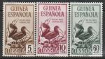 Испанская Гвинея 1952 год. Птицы - носороги, 3 марки (н