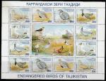 Таджикистан 1996 год. Птицы Красной книги Таджикистана, малый лист (н