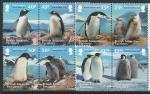 Британская антарктическая территория 2013 год. Пингвины, 4 пары марок (н