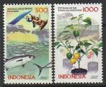 Индонезия 2000 год. Туризм, 2 марки (н