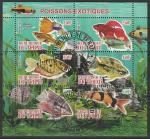 Чад 2011 год. Аквариумные рыбки, малый лист (гашёный)
