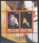Малави 2010 год. Домашние кошки, блок (гашёный) (II)