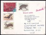 Конверт Японии Животные, 1974 год, прошел почту