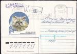 Немаркированный конверт Персидская кошка шиншилла, 1990 год, прошел почту
