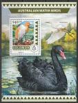 Соломоновы острова 2016 год. Австралийские водоплавающие и болотные птицы, блок.