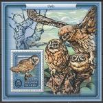 Соломоновы острова 2017 год. Совы, блок.