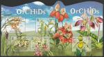Соломоновы острова 2012 год. Орхидеи, малый лист + блок (сцепка)