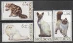 Молдавия 2007 год. Домашние кошки, 4 марки.