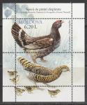 Молдавия 2007 год. Редкие птицы, блок.