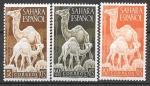 Испанская Сахара 1951 год. Верблюды. 3 марки. 