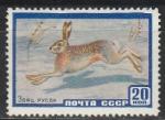 СССР 1960 год, Фауна, Заяц-русак, 1 марка