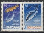 СССР 1962 год, Рыбы, серия 2 марки