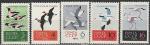 СССР 1962 год, Птицы, серия 5 марок