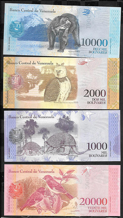 Венесуэла. Боливары, комплект 12 банкнот