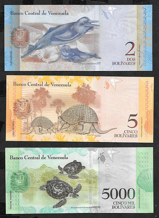 Венесуэла. Боливары, комплект 12 банкнот